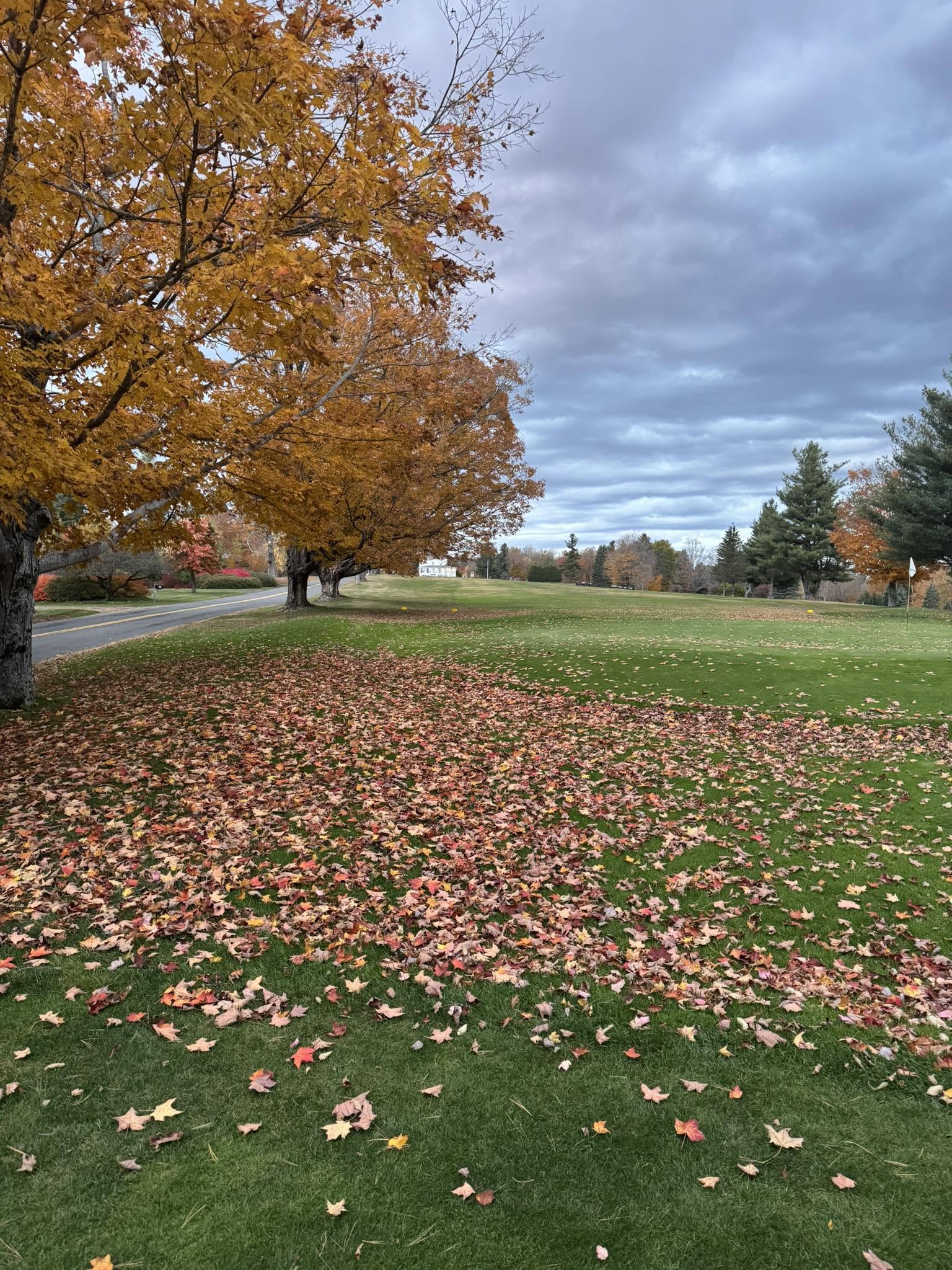 Autumn leaves on the fairway